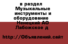 в раздел : Музыкальные инструменты и оборудование . Ненецкий АО,Лабожское д.